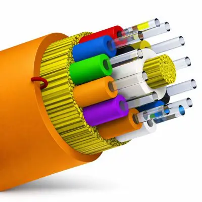 2fea17d8-dd8c-4916-8879-08d332295cc1 copy