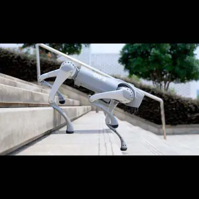 unitree-go2-edu-ai-quadruped-robot-dog-488327.jpg
