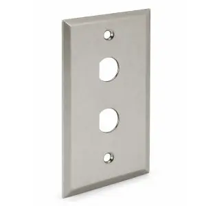 1/2" D-hole Stainless Steel Wall Plate - Single Gang - 2 Port