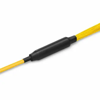 056ccdf4-71b4-492b-9f40-a6188476fe3e copy