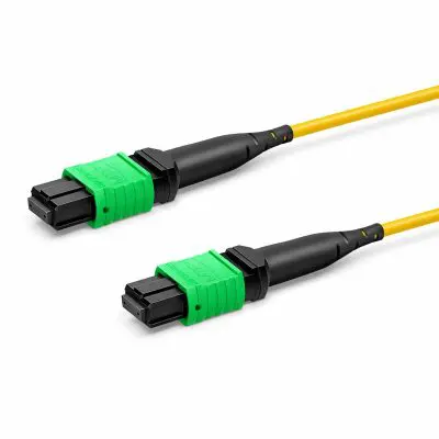 150cf685-ddbb-4de3-9f25-12fd658d03ac copy