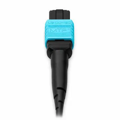 1a631a5b-98c0-497e-a078-a5f1b23f2892 copy