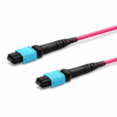 2385ed08-eccb-4489-8d54-b6036e0e5fa2 copy