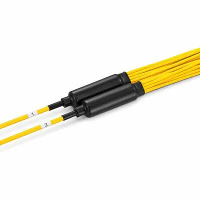 26b0c0cd-9c7c-4c61-b221-73bae93d50a5 copy