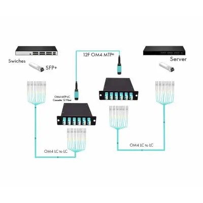 26b0f7fe-4193-41e2-b019-4325603322c9 copy