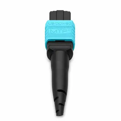 2f4ba028-82e7-420e-a767-ee8dda012e3c copy