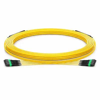 3db74fbf-5df8-407d-ac5d-4bedecd1687f copy