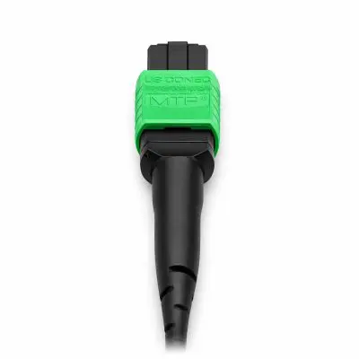 4b913d44-1678-4ace-a8f2-f7ad4d07c25c copy