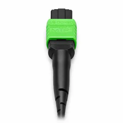 4bbee836-b0cd-49e0-aee8-7906e6059916 copy