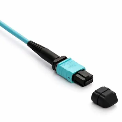 53442c0f-acb3-4a04-8f4c-fea18bb863ff copy