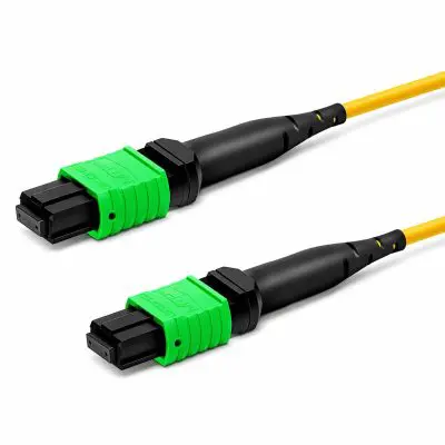 56b0b610-4c2d-461a-8456-b38008cdf55a copy