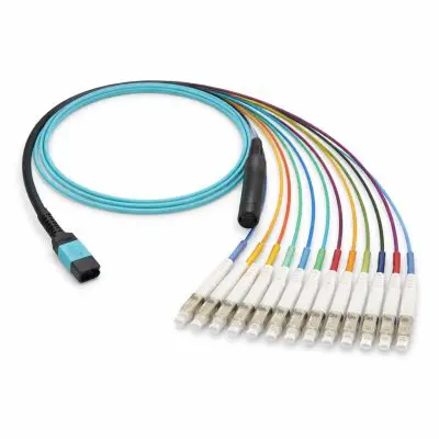 6ba8c8a9-cc98-4622-8954-32e605a7a4df copy