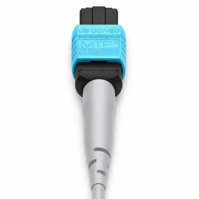 78e92421-7247-47c9-a662-5cdff026ff57 copy