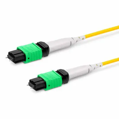 a58cf55e-6aed-45bb-8f74-c7940eddc600 copy