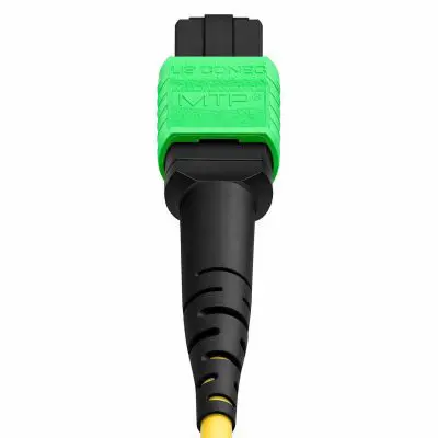 a8dad818-1109-4ea8-a5a9-f2c5380070e7 copy