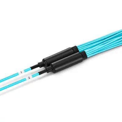 b41f270a-072d-4821-8c7c-7b24ce89712c copy