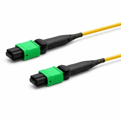 d8134a32-b21f-4a8b-8b6a-83fe6400f41c copy