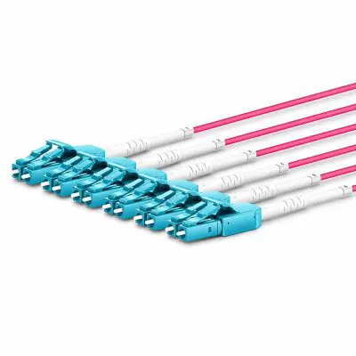 f5d32570-2f11-4fb0-ba69-40167246e1b1 copy