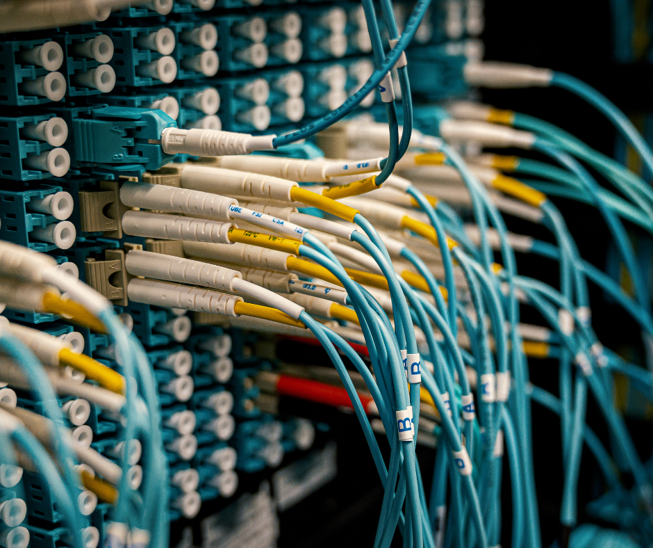 Close-up of fiber optic cables connected to a network patch panel, showcasing organized custom cable assemblies for high-speed data transmission